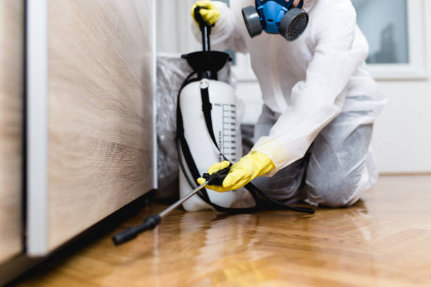 Best Pest Inspection Near Me  in Stanaford, WV