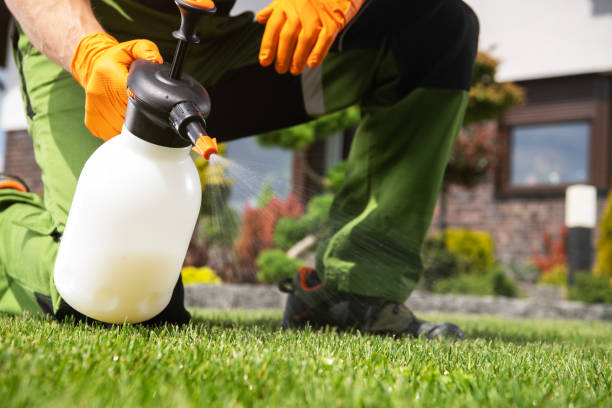 Best Insect Control  in Stanaford, WV