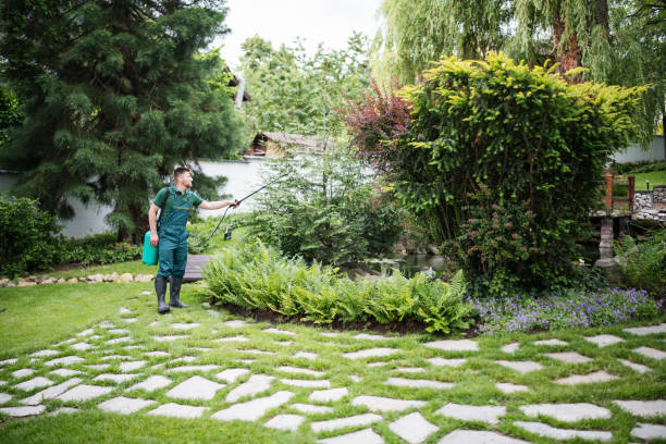 Best Ant Control Services  in Stanaford, WV