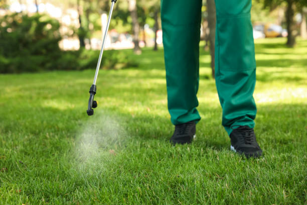 Best Cockroach Control Services  in Stanaford, WV