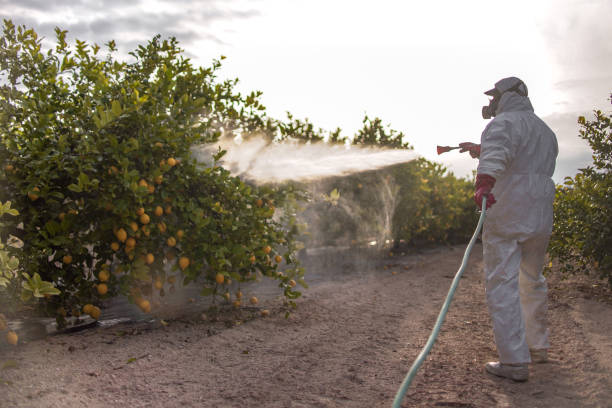 Best Affordable Pest Control Services  in Stanaford, WV